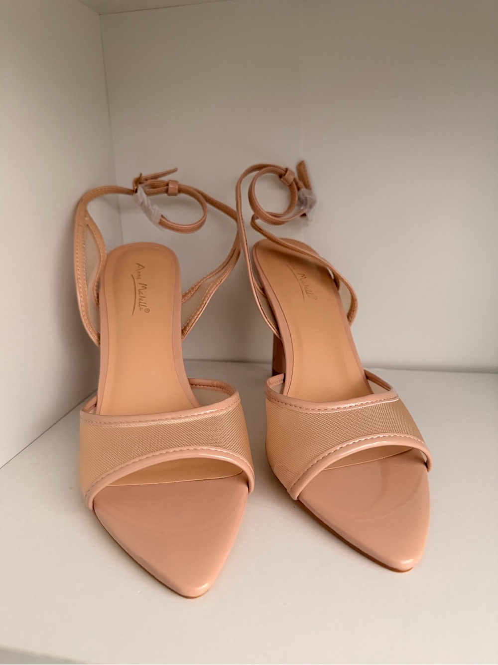 Elegant Pointed-Toe Ankle-Tie Heels